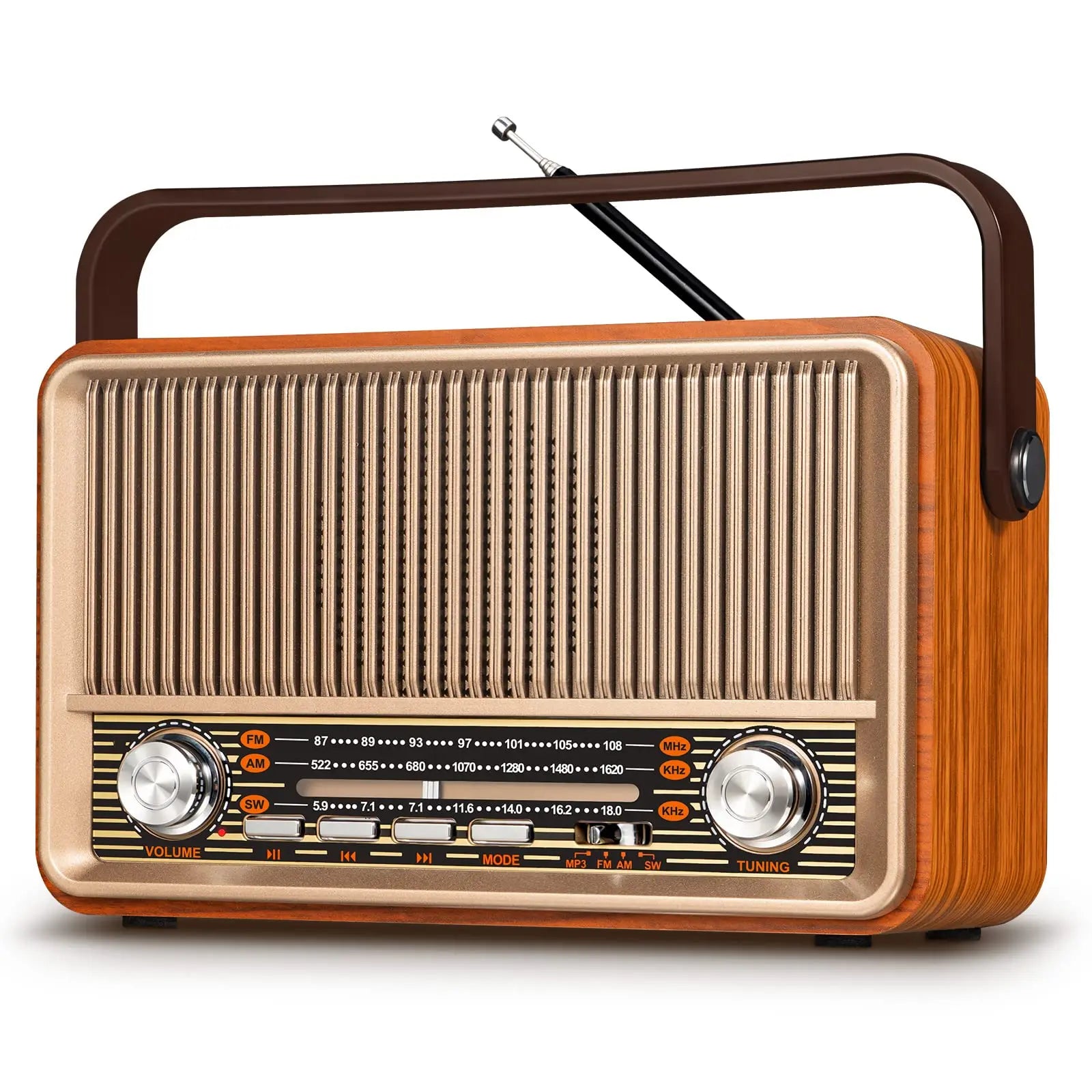 Portable AM FM Radio Bluetooth Speaker PRUNUS J-120
