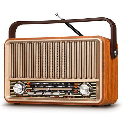 Portable AM FM Radio Bluetooth Speaker PRUNUS J-120