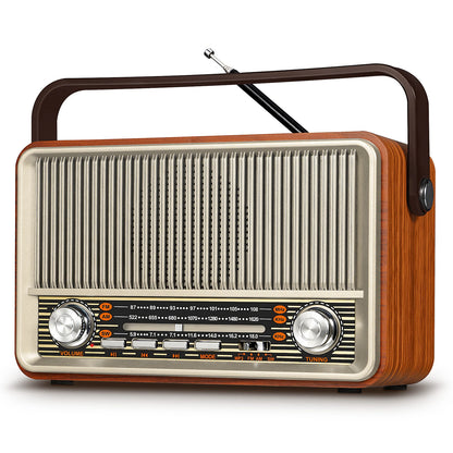 Portable AM FM Radio Bluetooth Speaker PRUNUS J-120