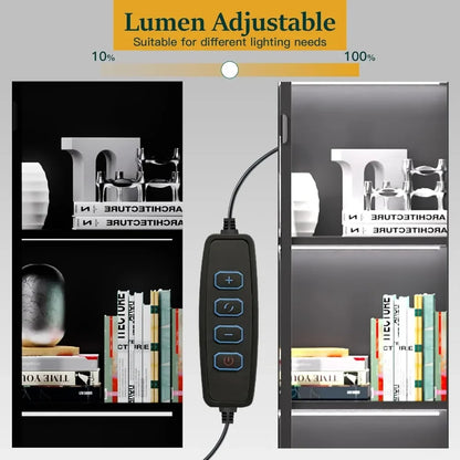 Display Cabinet with Glass Doors and LED Lights, Glass Display Case with 3 Adjustable Shelves,4 Tier of Storage Space Curio Cabi