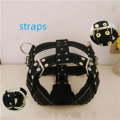 Durable Large Dog Harness Traction Rope Pit Bull Dog Muscle Training Carrying Strap Vest Adjustable Quick Control Pet Supplies
