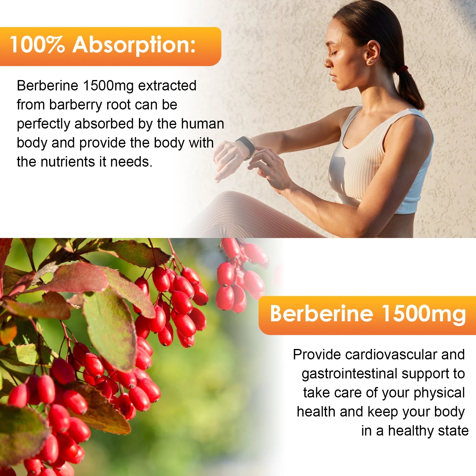 60ML Berberine Drop Contain Turmeric,Ceylon Cinnamon, Bitter Gourd, Piperine Digestive System, Immune Health Support-Vegetarian