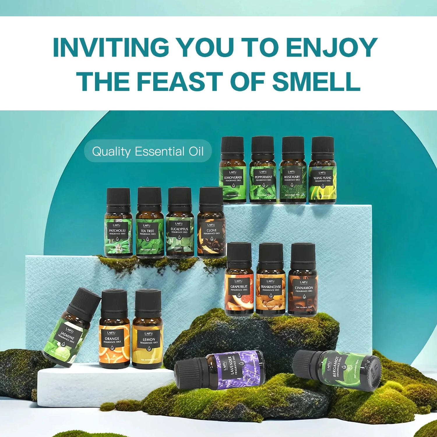Aromatherapy Essential Oils Kit 16 favors Lavender, Mint, Lemon,  Jasmine, tea tree All Perfect for Humidifiers Yoga bedroom