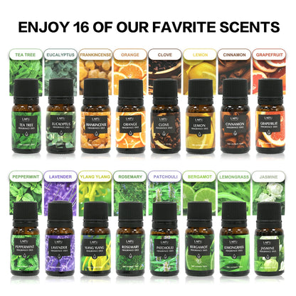 Aromatherapy Essential Oils Kit 16 favors Lavender, Mint, Lemon,  Jasmine, tea tree All Perfect for Humidifiers Yoga bedroom